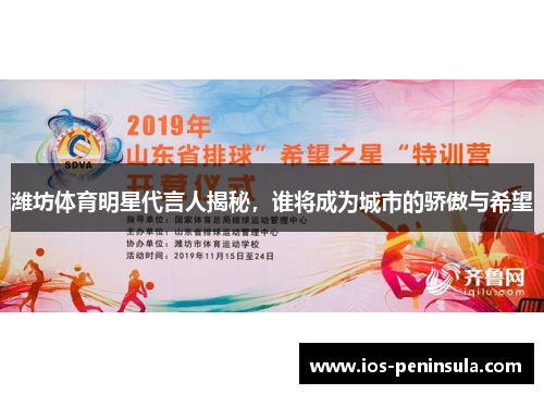 潍坊体育明星代言人揭秘，谁将成为城市的骄傲与希望