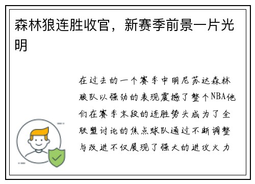 森林狼连胜收官，新赛季前景一片光明