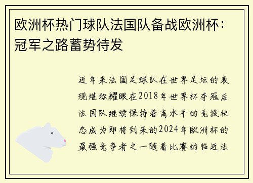欧洲杯热门球队法国队备战欧洲杯：冠军之路蓄势待发